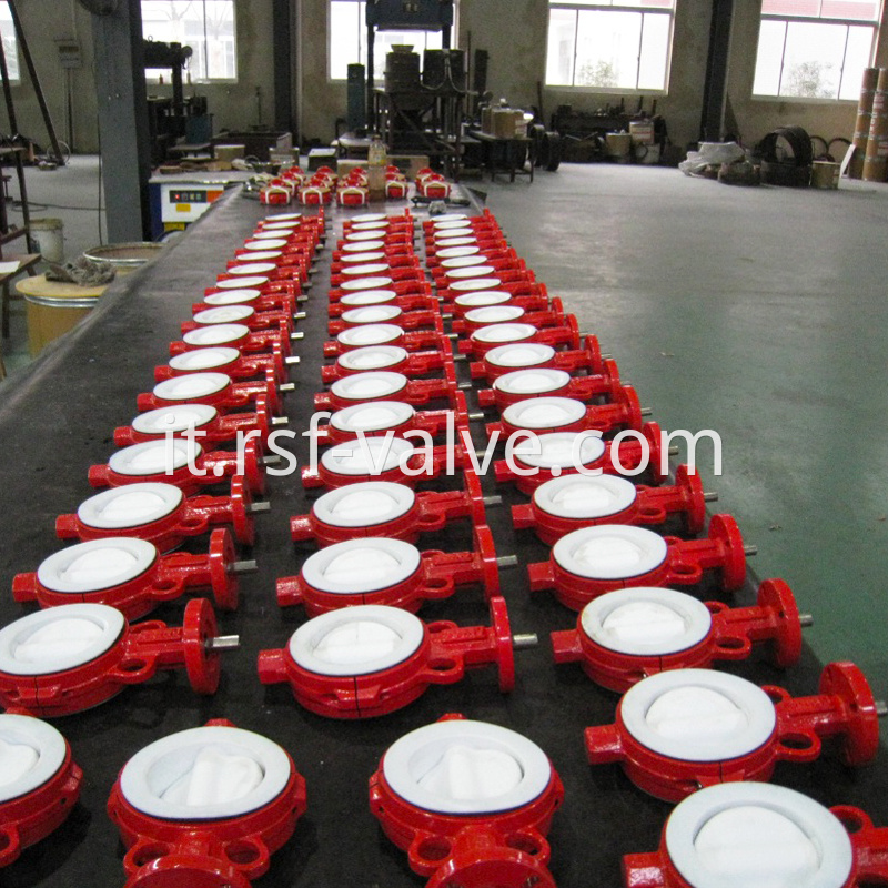 Ptfe Lined Butterfly Valve 3